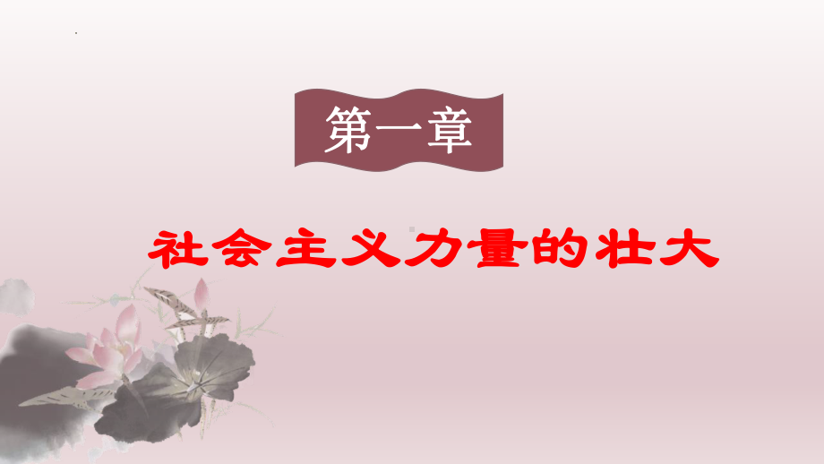 5.18社会主义的发展和挫折ppt课件-(同名部）统编版九年级下册《历史》.pptx_第3页