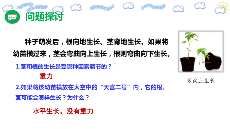 5.4环境因素参与调节植物的生命活动ppt课件-(同名1)-2023新人教版(2019）《高中生物》选择性必修第一册.pptx_第3页