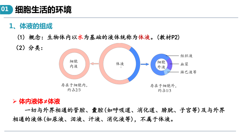 一轮复习ppt课件：人体的内环境与稳态(同名1)-2023新人教版(2019）《高中生物》选择性必修第一册.pptx_第3页