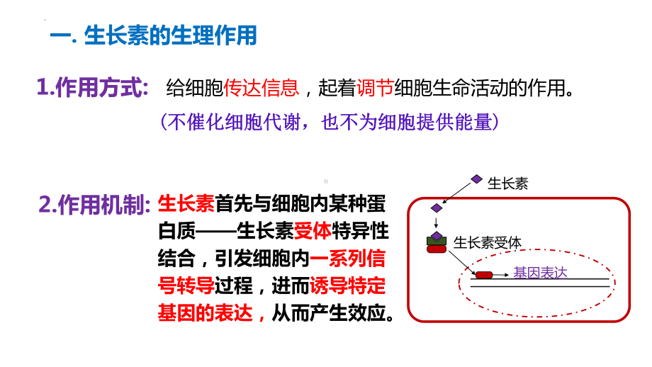 5.1植物生长素第3课时ppt课件-2023新人教版(2019）《高中生物》选择性必修第一册.pptx_第2页