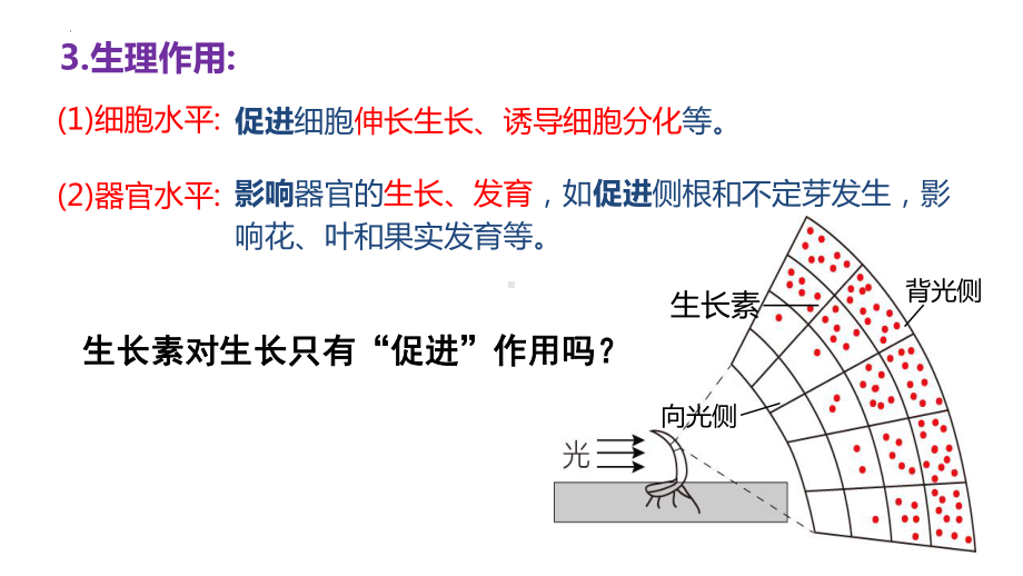 5.1植物生长素第3课时ppt课件-2023新人教版(2019）《高中生物》选择性必修第一册.pptx_第3页