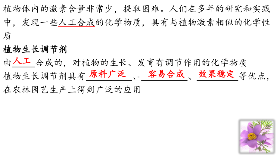 5.3 植物生长调节剂的应用ppt课件(同名1)-2023新人教版(2019）《高中生物》选择性必修第一册.pptx_第3页