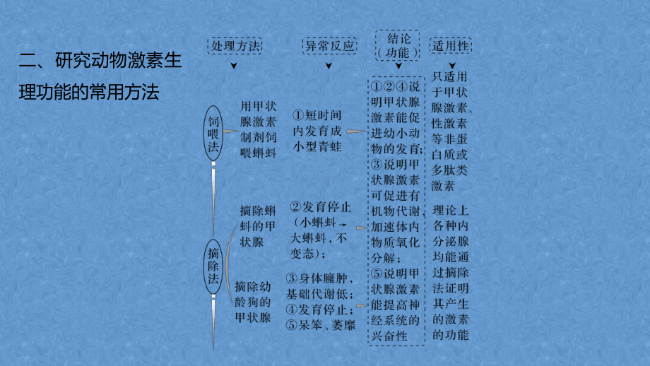 复习专题学ppt课件研究动物激素生理功能的常用方法-2023新人教版(2019）《高中生物》选择性必修第一册.pptx_第3页