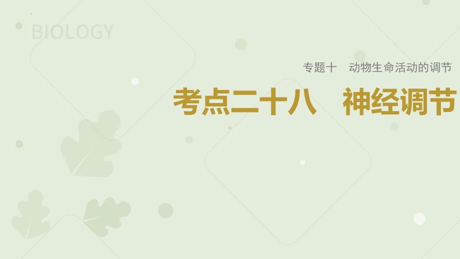 一轮复习ppt课件：神经调节 (同名1)-2023新人教版(2019）《高中生物》选择性必修第一册.pptx_第1页