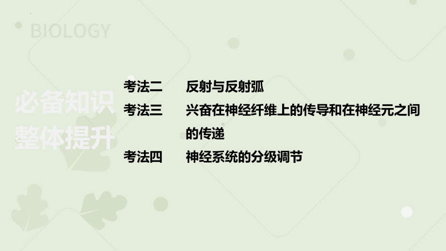 一轮复习ppt课件：神经调节 (同名1)-2023新人教版(2019）《高中生物》选择性必修第一册.pptx_第2页