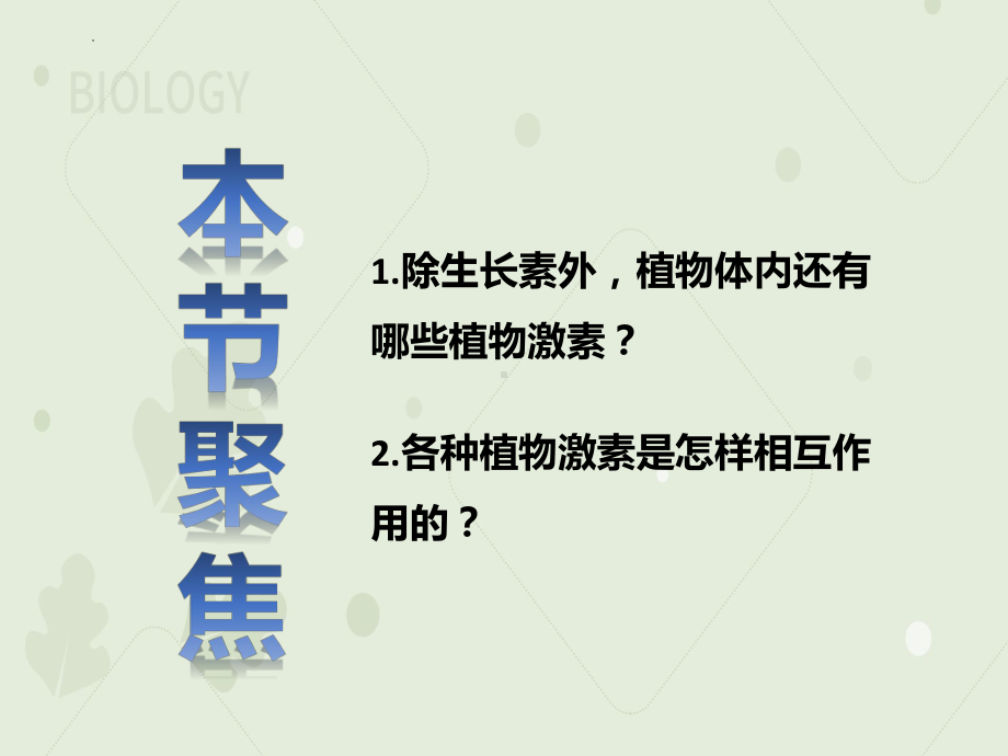 5.2其他植物激素 ppt课件-2023新人教版(2019）《高中生物》选择性必修第一册.pptx_第3页