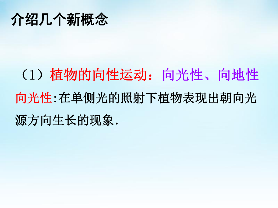 5.1植物生长素ppt课件2(同名4)-2023新人教版(2019）《高中生物》选择性必修第一册.pptx_第2页