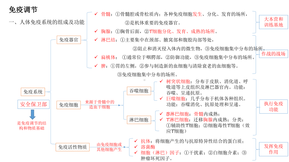 一轮复习ppt课件：免疫调节(同名2)-2023新人教版(2019）《高中生物》选择性必修第一册.pptx_第1页