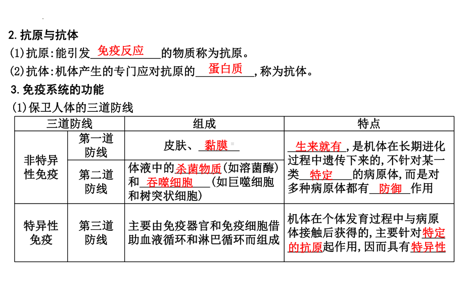 一轮复习ppt课件：免疫调节(同名1)-2023新人教版(2019）《高中生物》选择性必修第一册.pptx_第3页