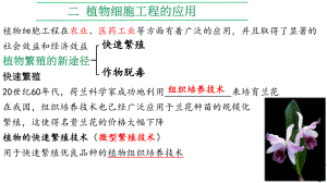 2.1.2 植物细胞工程的应用 ppt课件-2023新人教版(2019）《高中生物》选择性必修第三册.pptx