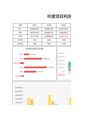 年度项目利润报表（多图表）.xlsx