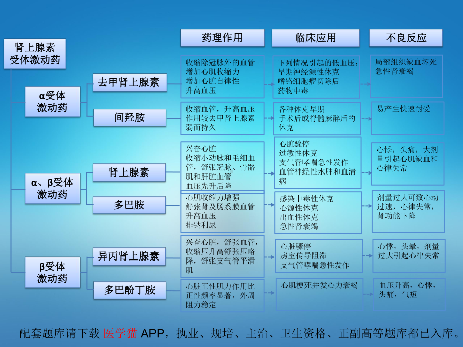 医院教学药理病理学人卫九版课件第十章 肾上腺素受体激动药 本章小结.pptx_第2页