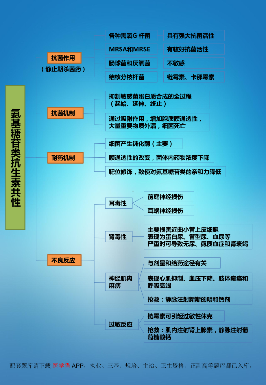 医院教学药理病理学人卫九版课件第四十二章 氨基苷类抗生素 本章小结.pptx_第2页