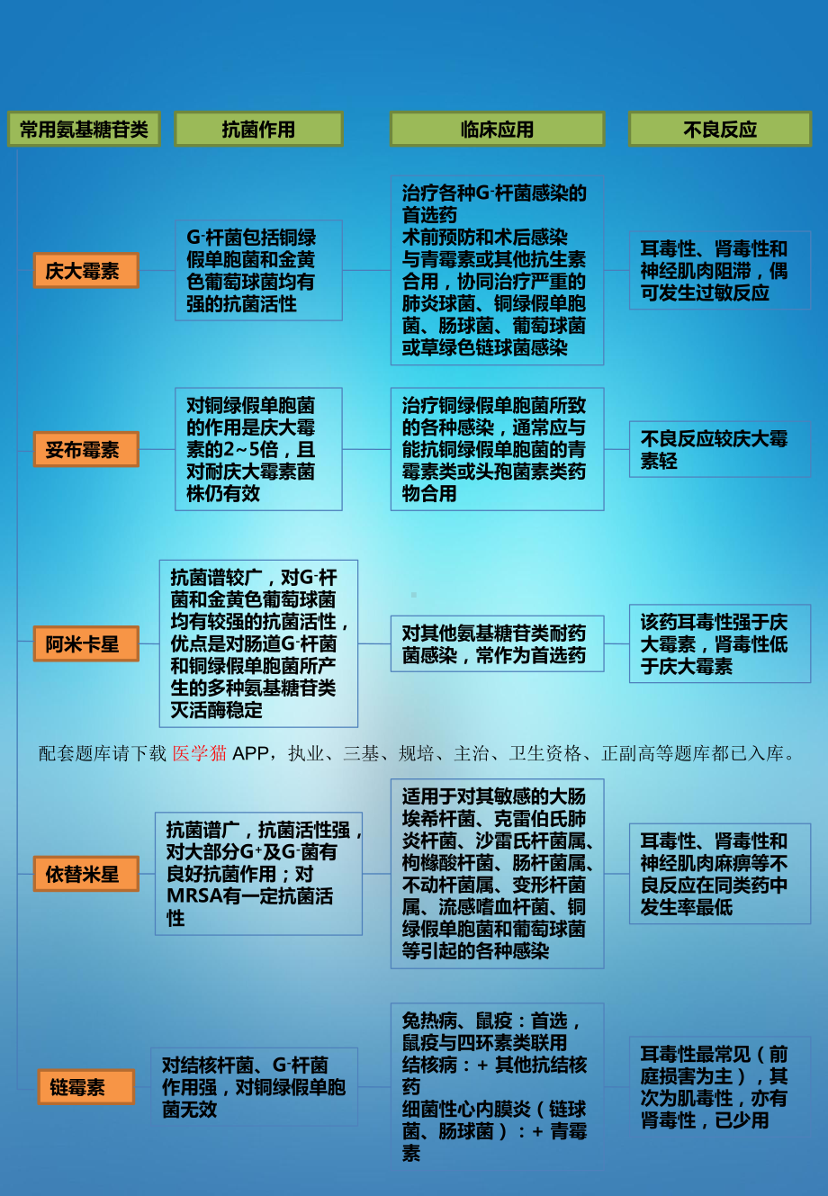 医院教学药理病理学人卫九版课件第四十二章 氨基苷类抗生素 本章小结.pptx_第3页