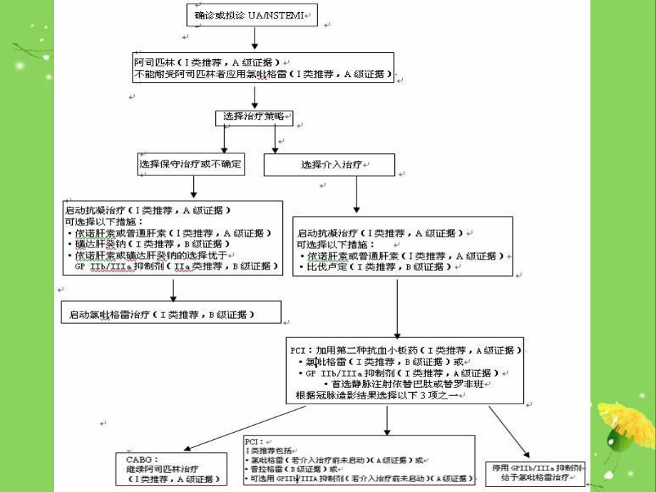 ACCF和AHA关于不稳定性心绞痛和非ST段抬高心肌梗塞治疗的修订指南培训课件.ppt_第2页