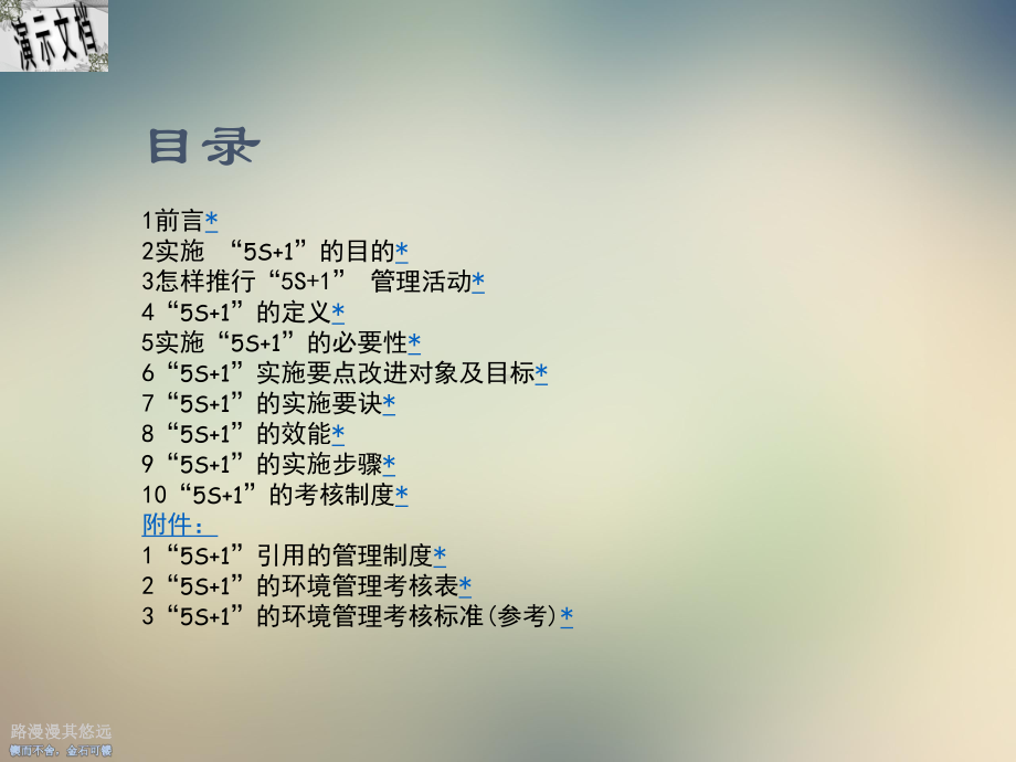 5S+1管理培训课件.ppt_第2页