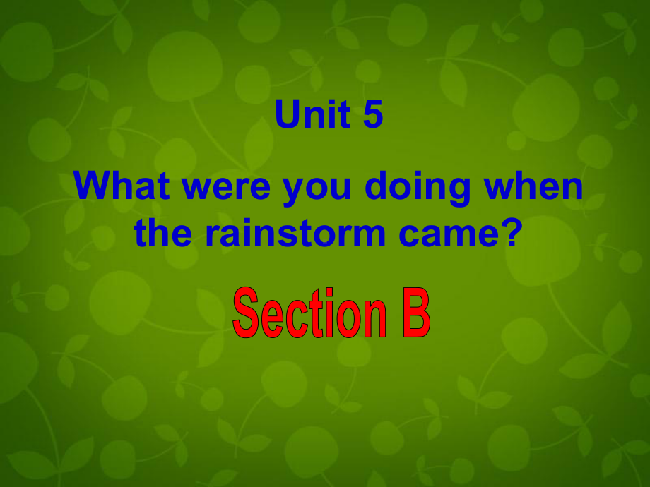 人教新目标版八年级英语下册-Unit-5-What-were-you-doing-when-the-rainstorm-came-Section-B课件-.ppt_第2页