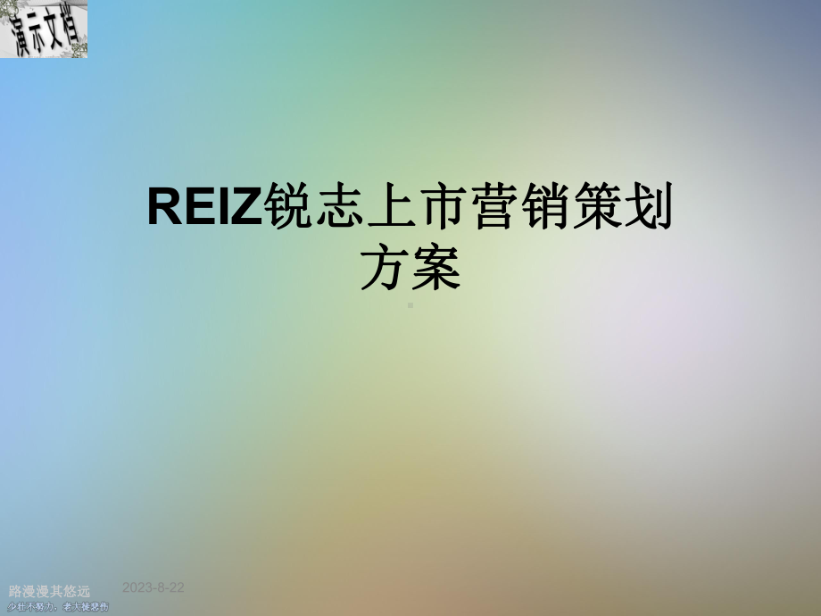 REIZ锐志上市营销策划方案.ppt_第1页