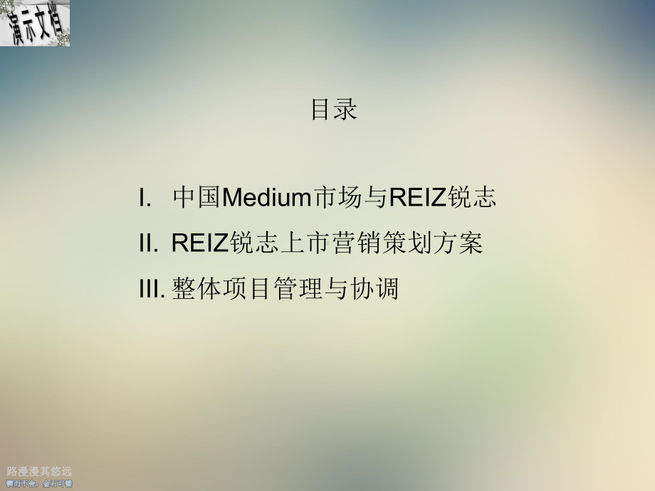 REIZ锐志上市营销策划方案.ppt_第2页