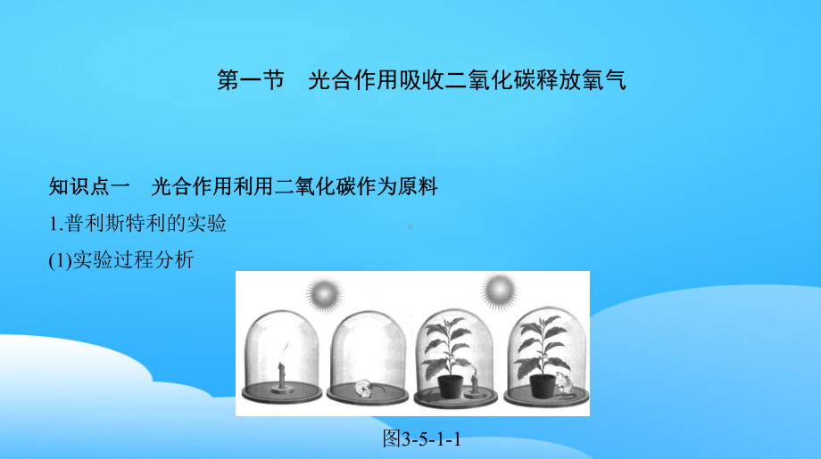 人教版七年级生物上册复习课件-351-光合作用吸收二氧化碳释放氧气.pptx_第2页