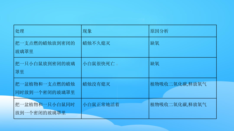 人教版七年级生物上册复习课件-351-光合作用吸收二氧化碳释放氧气.pptx_第3页