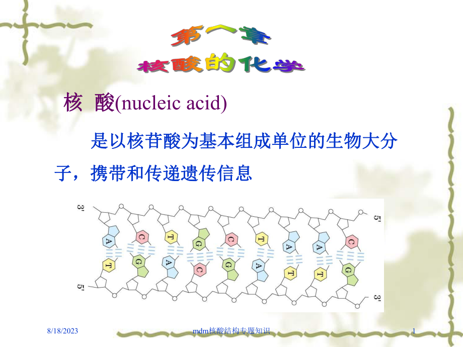 mdm核酸结构专题知识课件.ppt_第1页