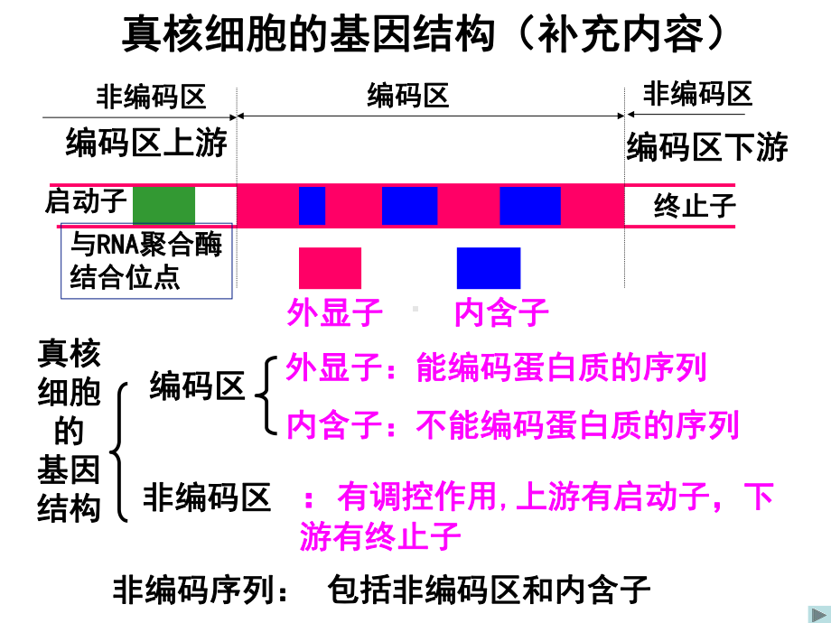 《基因工程的基本操作程序》课件.ppt_第2页