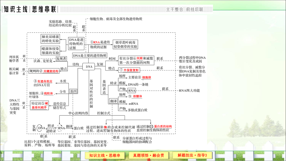 《创新设计》届高考生物二轮复习(江苏专用)课件第四单元遗传变异与进化专题一遗传的分子基础.ppt_第3页