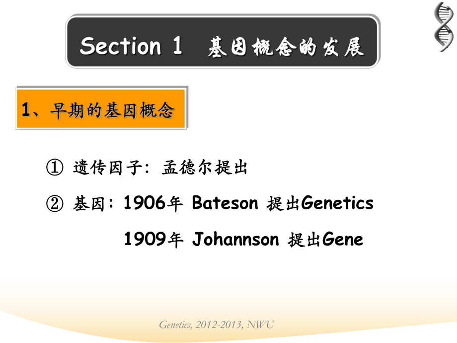 chapter基因的精细结构课件.ppt_第2页