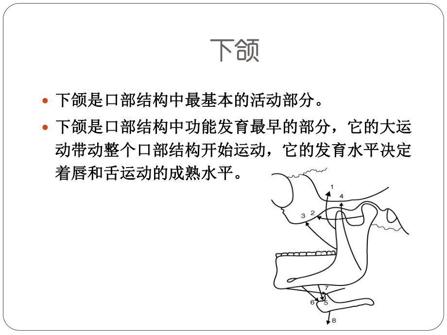 03-1-口部运动障碍的临床表现课件.ppt_第3页