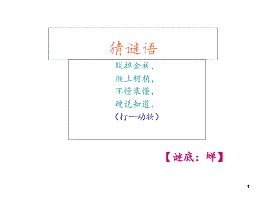 7《金蝉脱壳》课件.ppt