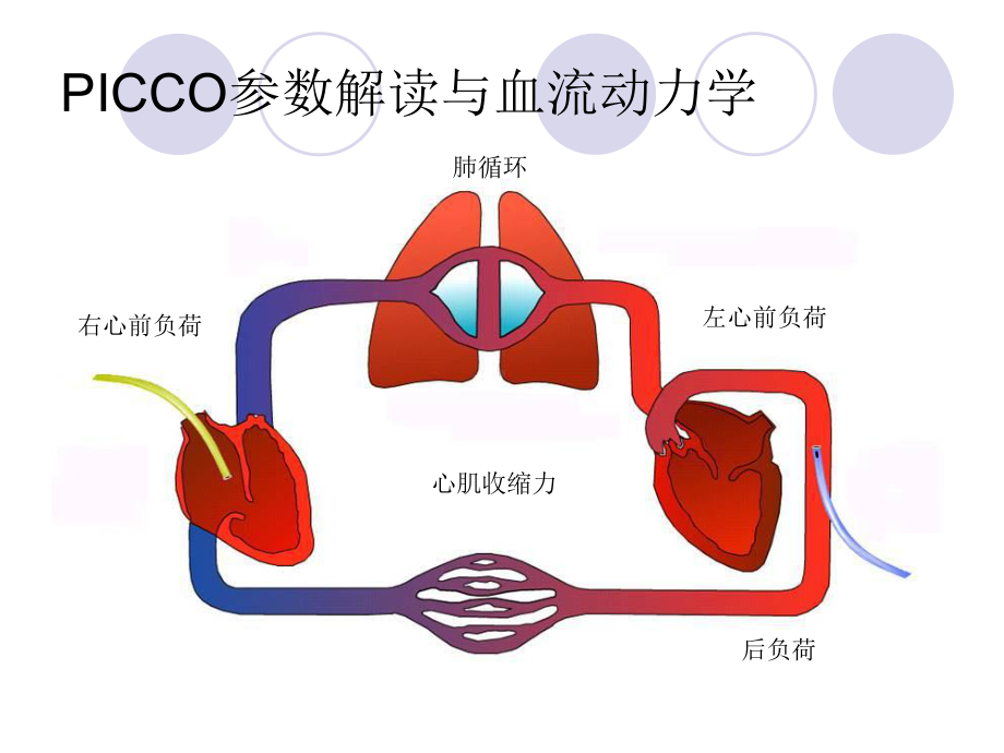 PICCO参数解读与血流动力学-课件.ppt_第2页