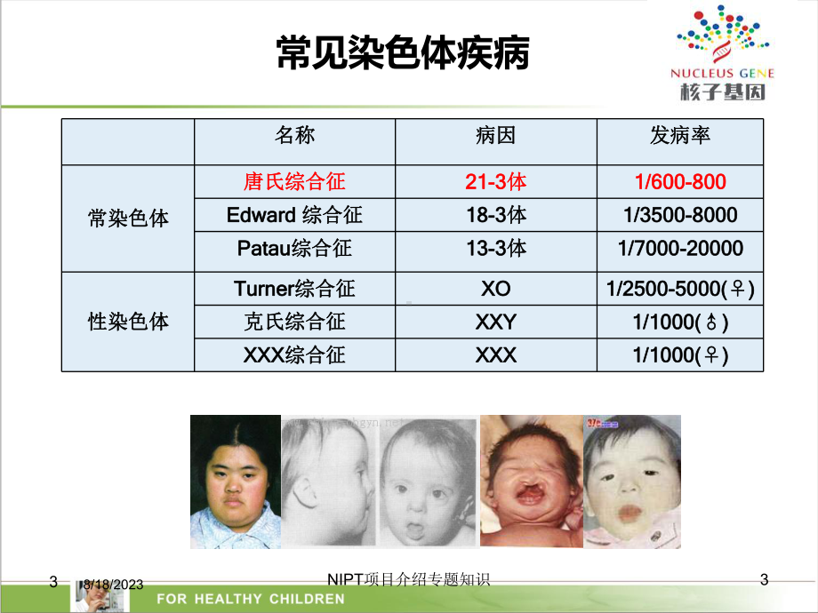 NIPT项目介绍专题知识课件.ppt_第3页