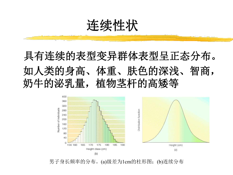 5数量遗传(新编)课件.ppt_第2页