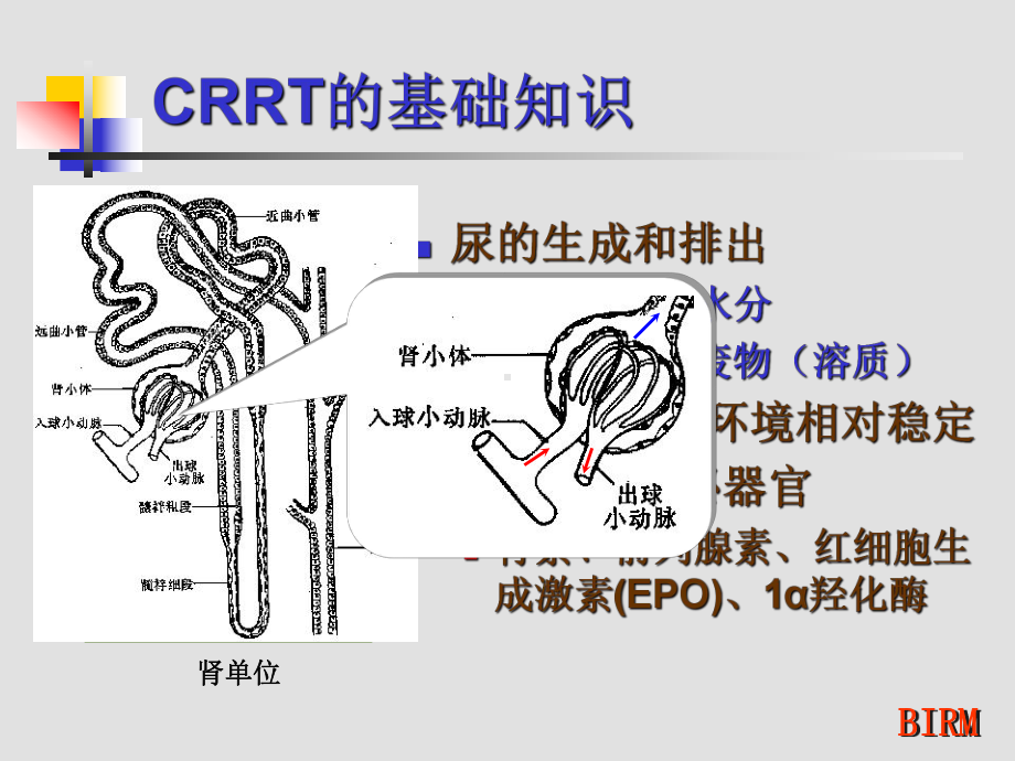 CRRT的基础知识-课件.ppt_第3页