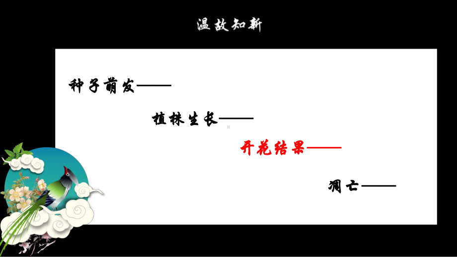 人教版初中生物七年级上册第五单元-第二章-第三节-开花和结果-课件.pptx_第3页