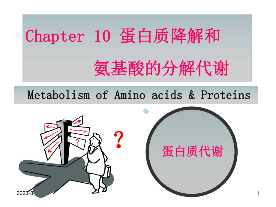 10蛋白质的降解和氨基酸的分解代谢课件.ppt_第1页