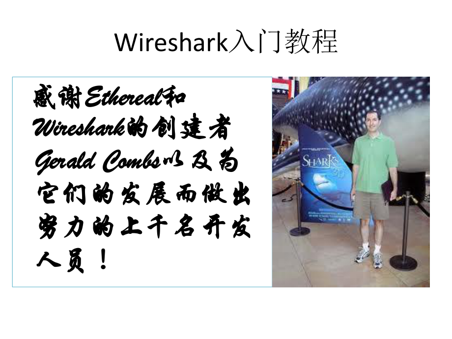 Wireshark入门教程-课件.ppt_第2页