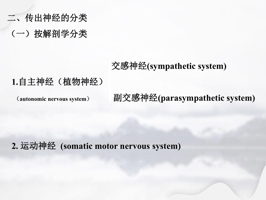 传出神经系统概论复件2专选课件.ppt_第2页