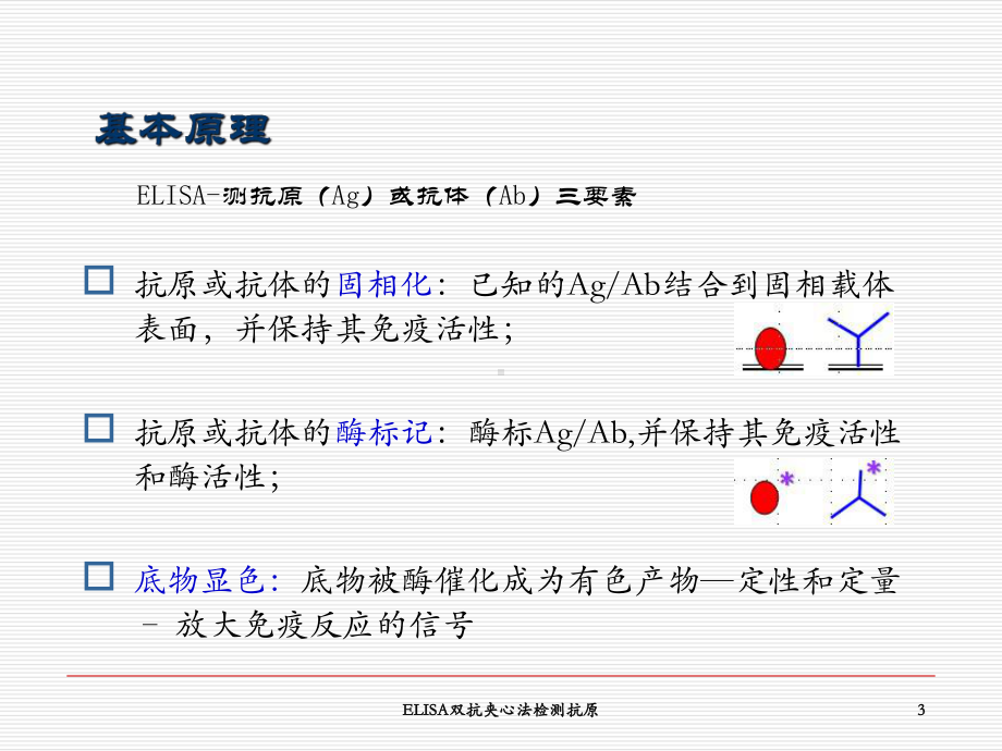 ELISA双抗夹心法检测抗原培训课件.ppt_第3页