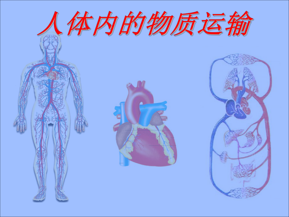 《人体内的物质运输》复习课课件.ppt_第1页