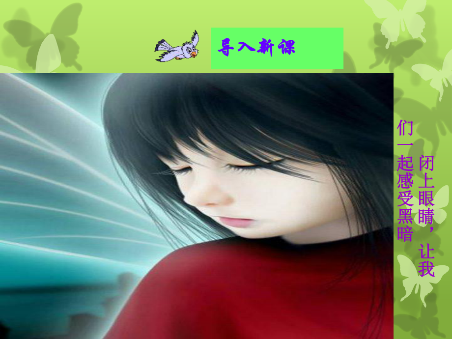 29《盲孩子和他的影子》课件.ppt_第2页