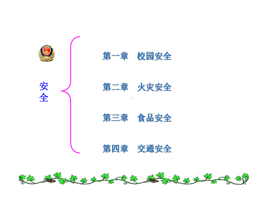 51班主题班会小学生交通安全教育课件.ppt_第2页