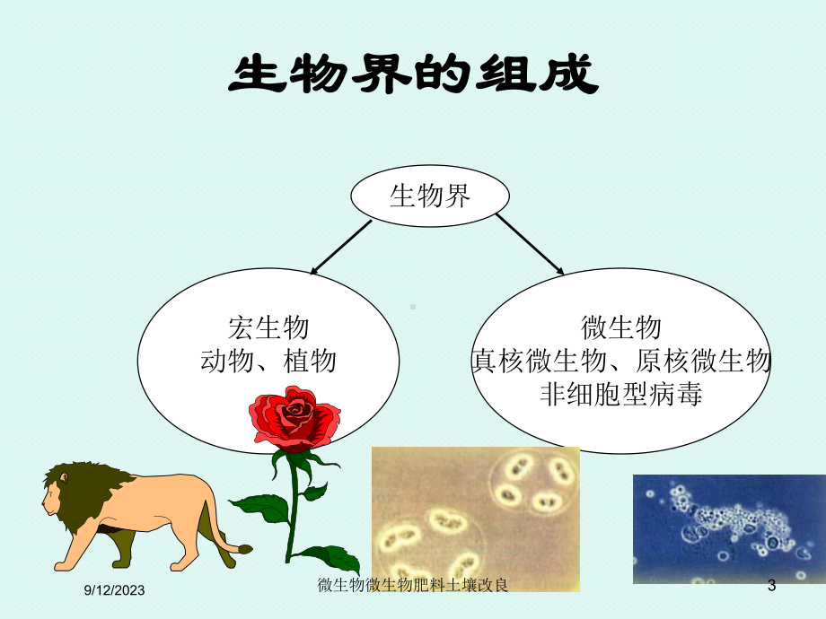 微生物微生物肥料土壤改良培训课件.ppt_第3页