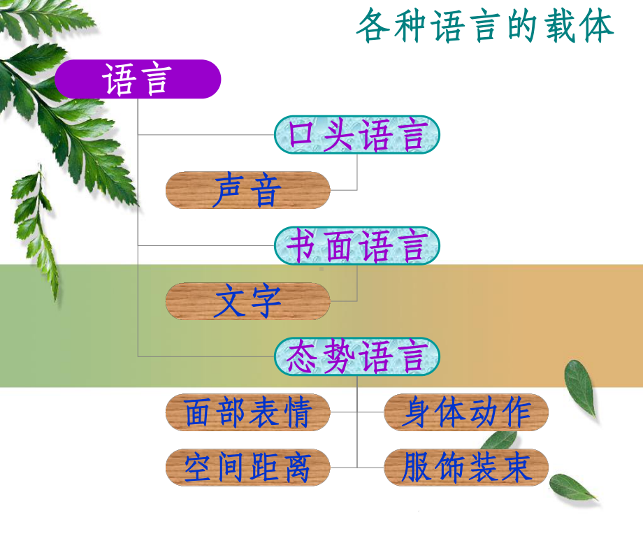 态势语言-课件.ppt_第3页