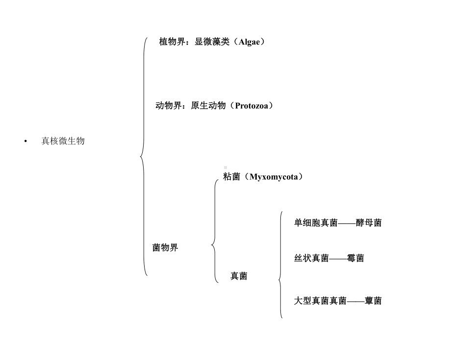 微生物学第三章课件.ppt_第3页