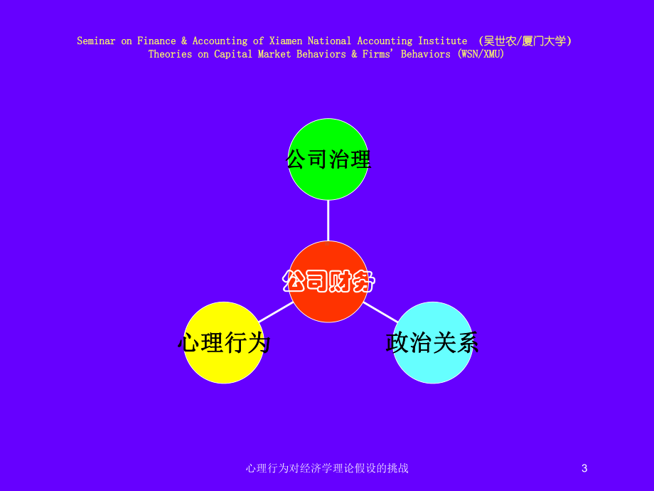 心理行为对经济学理论假设的挑战培训课件.ppt_第3页