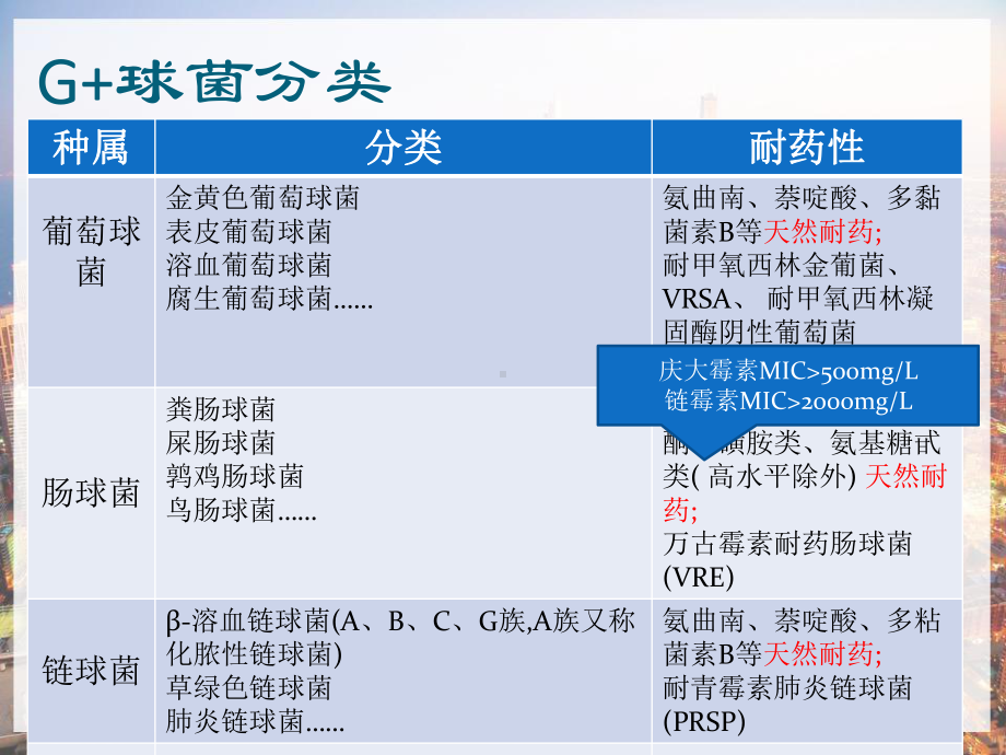 抗革兰氏阳性菌药物课件-.pptx_第2页