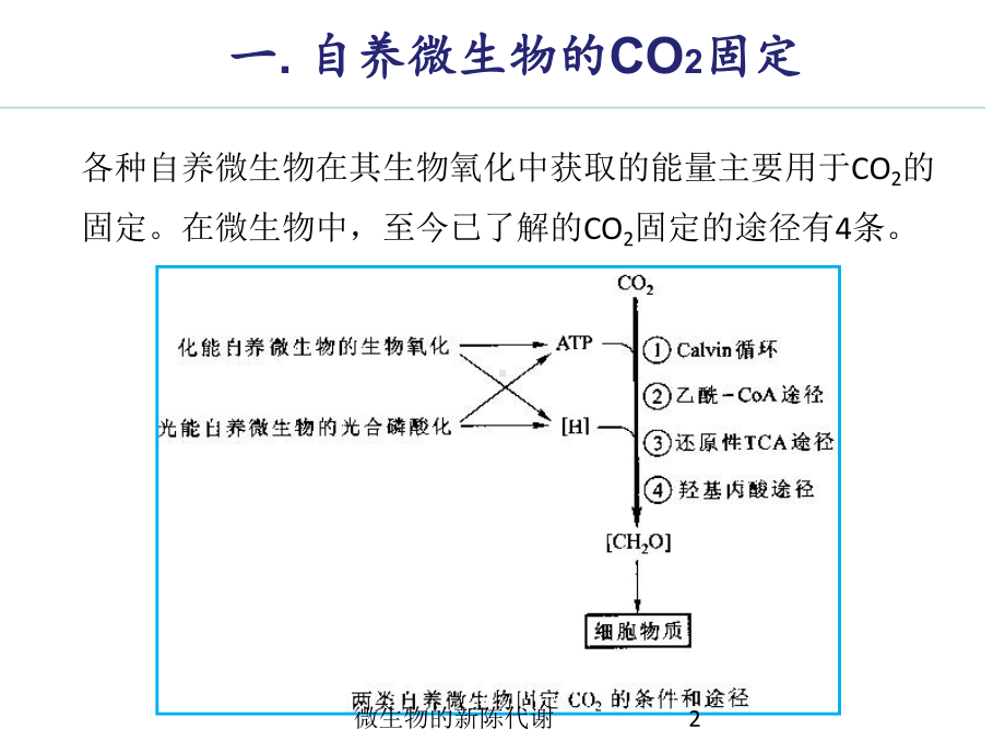 微生物的新陈代谢培训课件.ppt_第2页