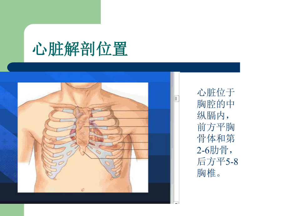 心脏检查新1(贵山)课件.ppt_第2页